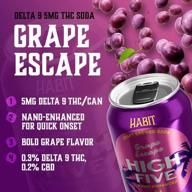 Habit High Five Grape Escape 5MG Delta 9 THC Soda (2)
